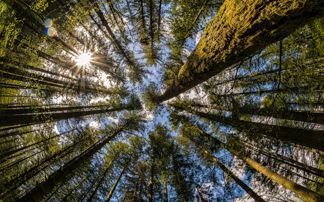 Macro Environmental Benefits