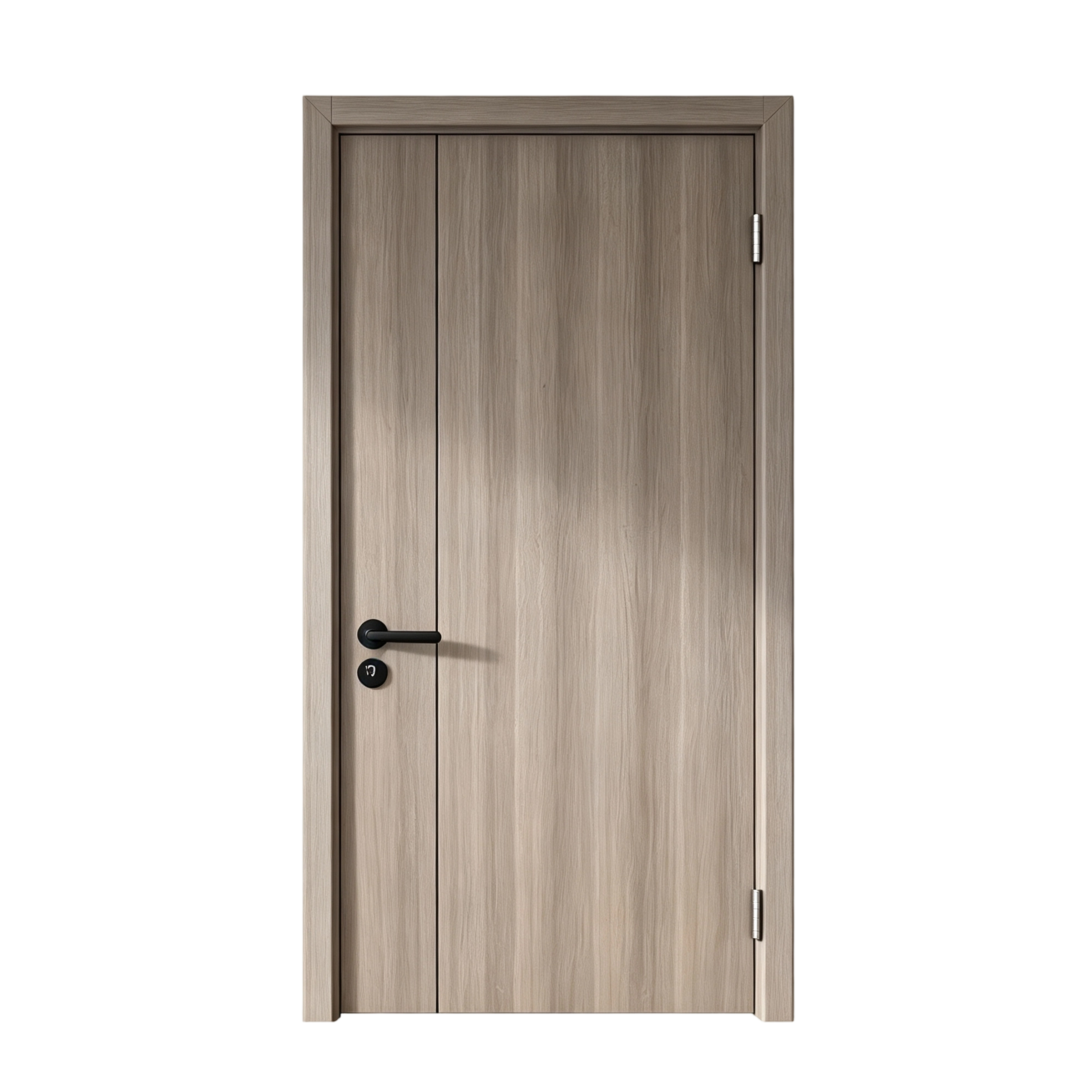 Minimalist Flat Panel Door
