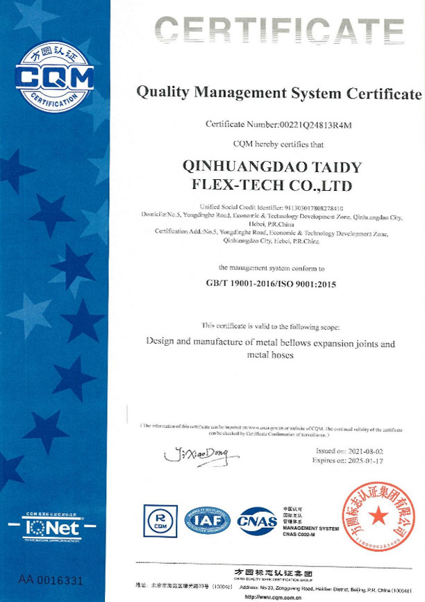 Taidy Certificate 8