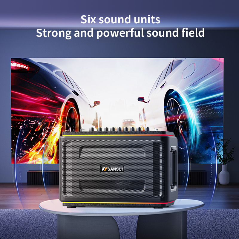 SANSUI D9 Speaker - SANSUI