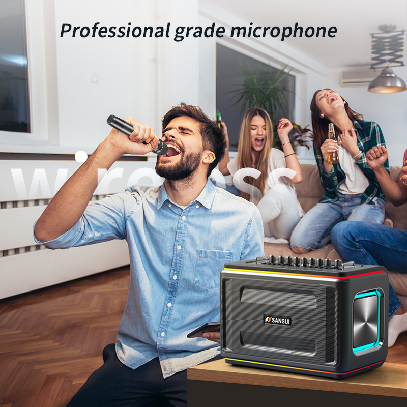 SANSUI D9 Speaker - SANSUI