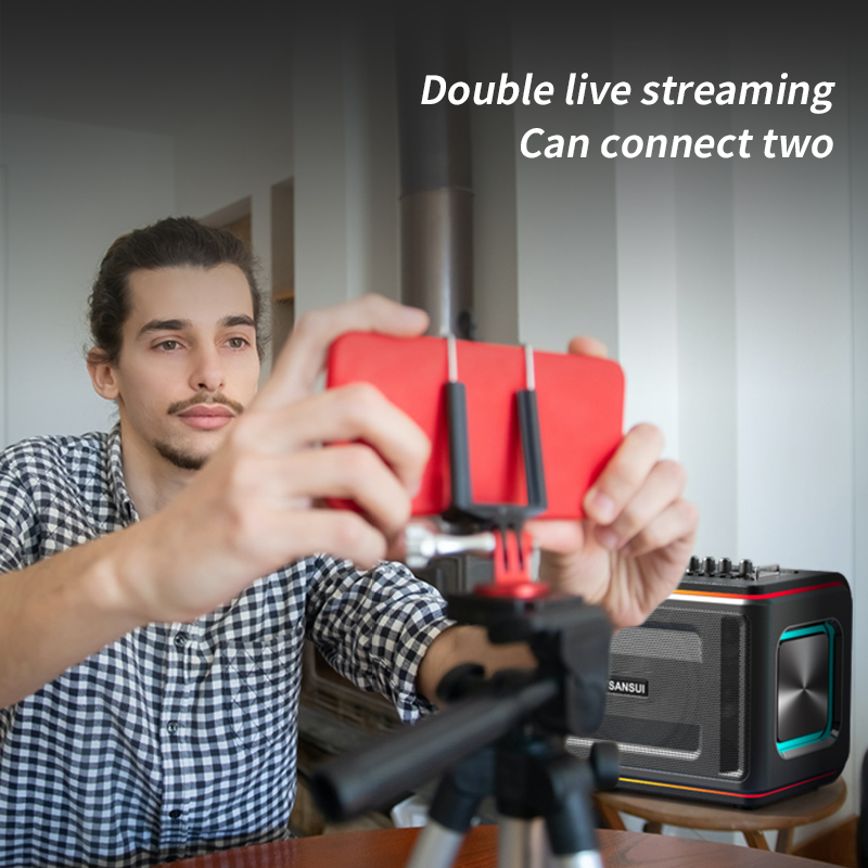 SANSUI D9 Speaker - SANSUI