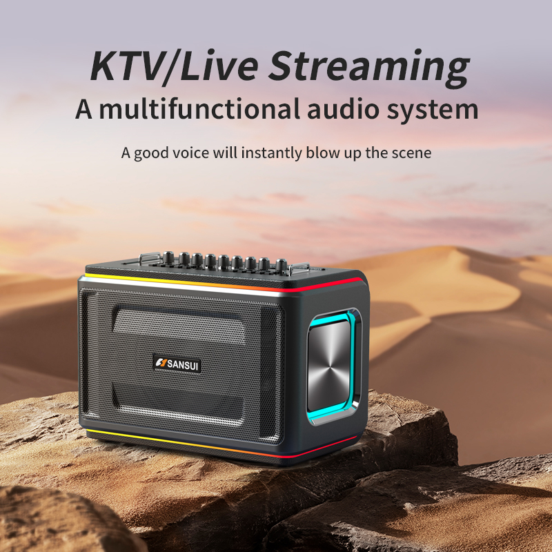 SANSUI D9 Speaker - SANSUI