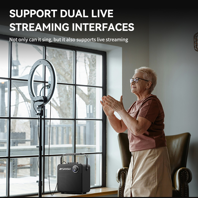 SANSUI D6 Portable Speaker - SANSUI