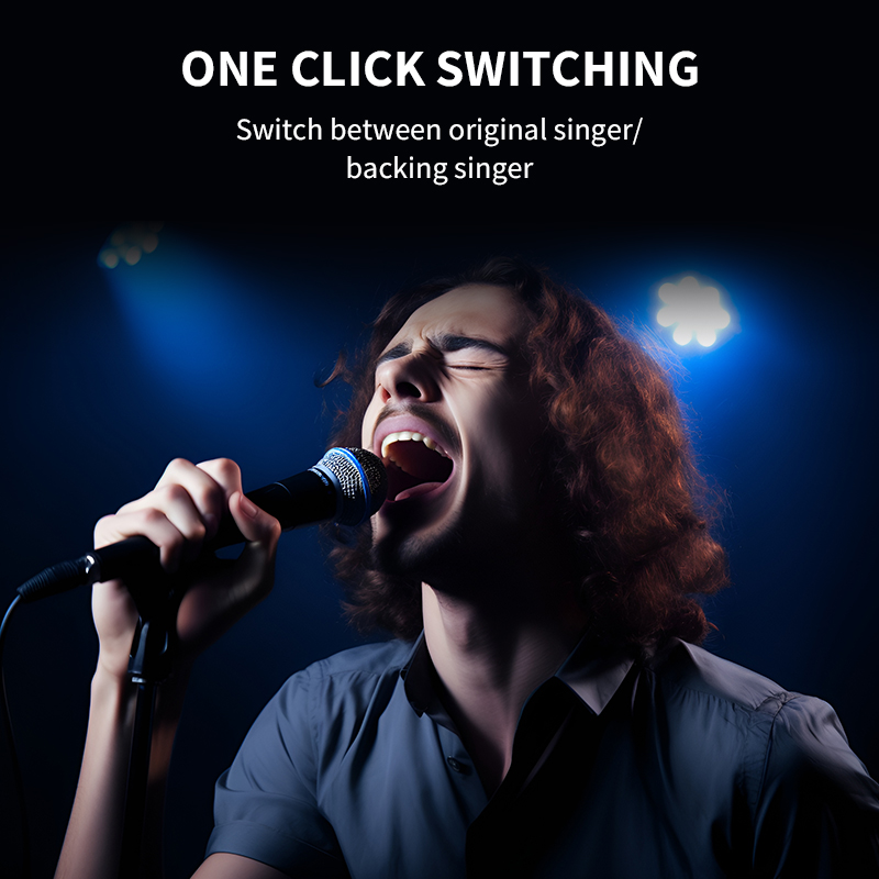 SANSUI D1 Portable Speaker - SANSUI