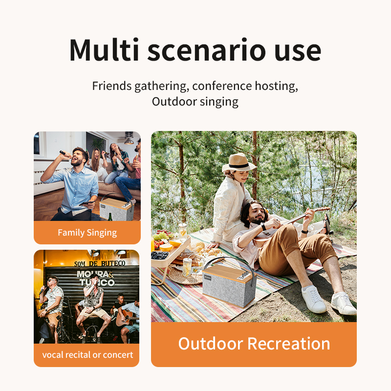 SANSUI D13 Portable Speaker - SANSUI