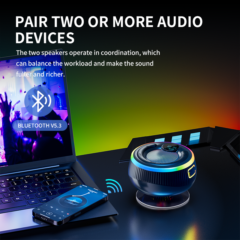 SANSUI MC003 Portable Speaker - SANSUI