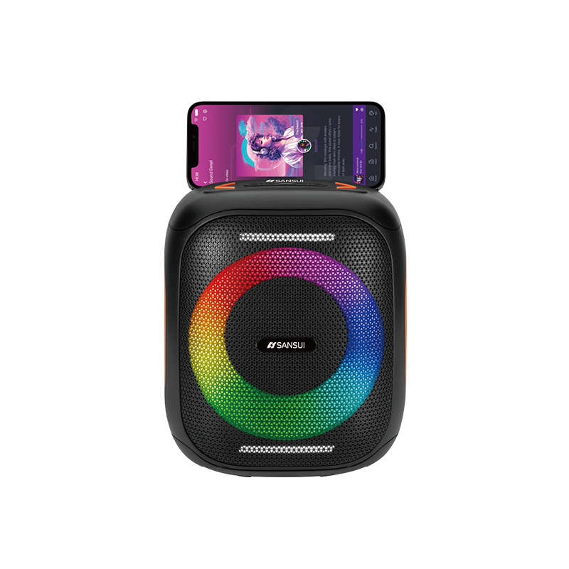 SANSUI D53 Speaker - SANSUI