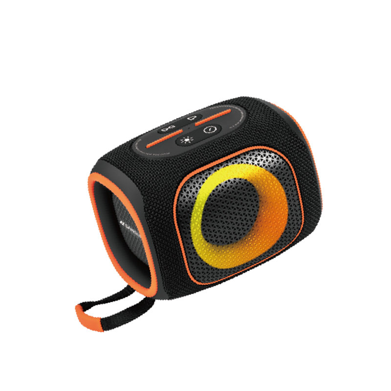 SANSUI D55mini Speaker - SANSUI