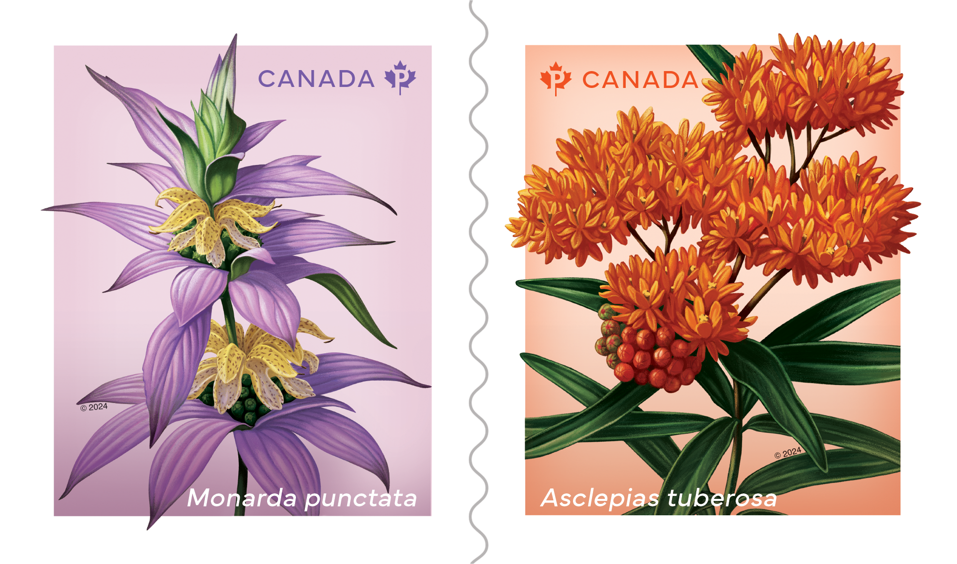 Wildflowers coil of 50 Permanent™ stamps