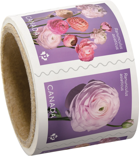 Ranunculus: Permanent™ domestic rate stamps - coil of 50