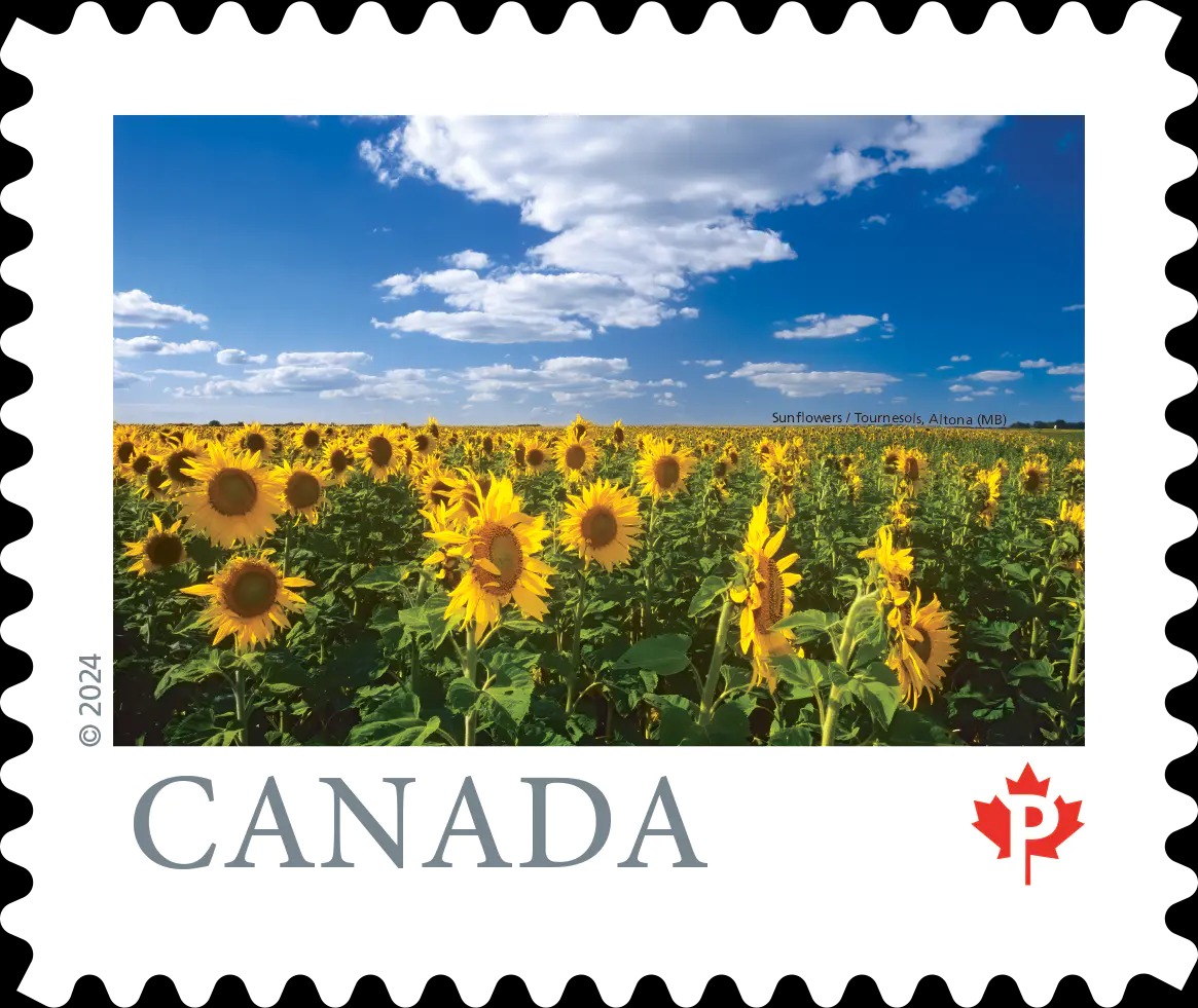 From Far and Wide (Part 4): 1000 Pcs - Permanent™ domestic rate stamps