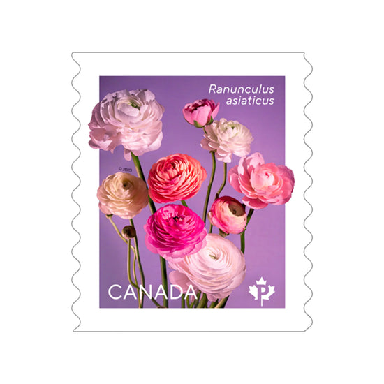 Ranunculus: Permanent™ domestic rate stamps - coil of 50