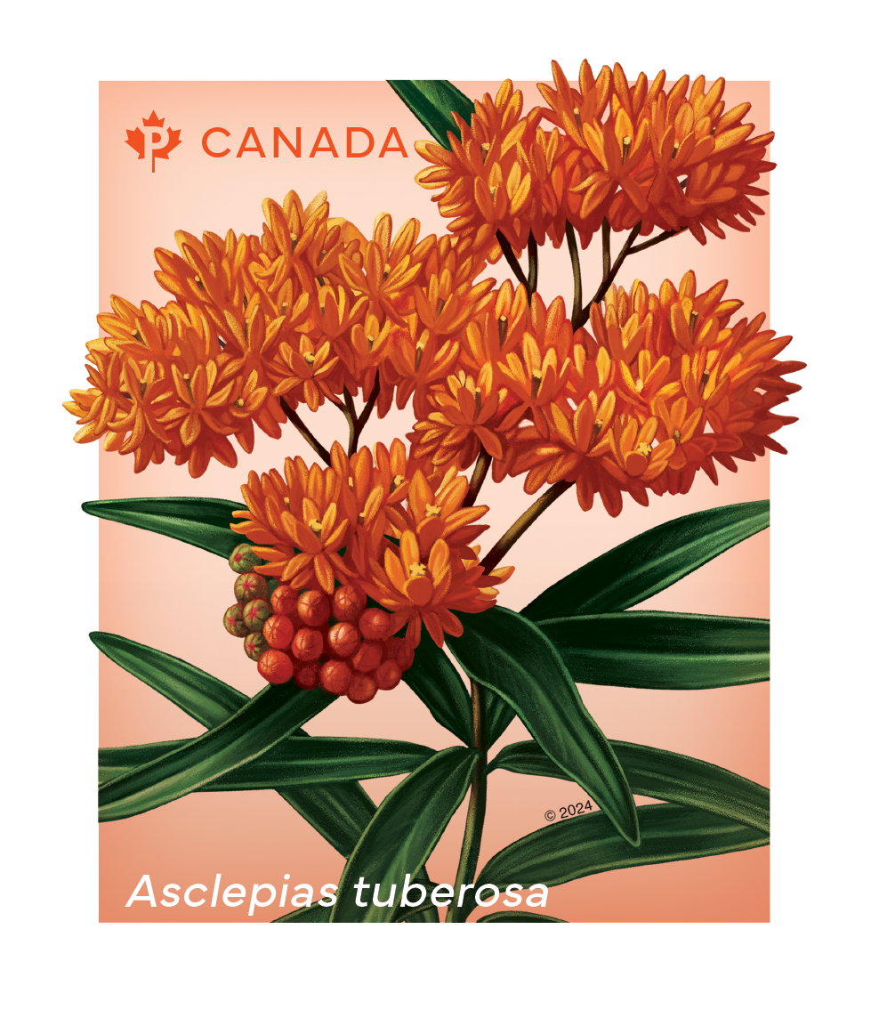 Wildflowers coil of 50 Permanent™ stamps