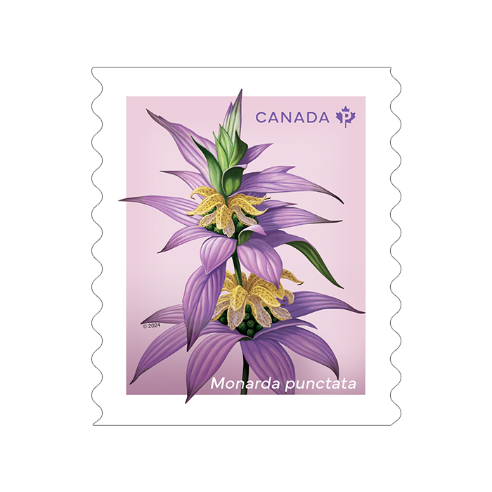 Wildflowers coil of 50 Permanent™ stamps