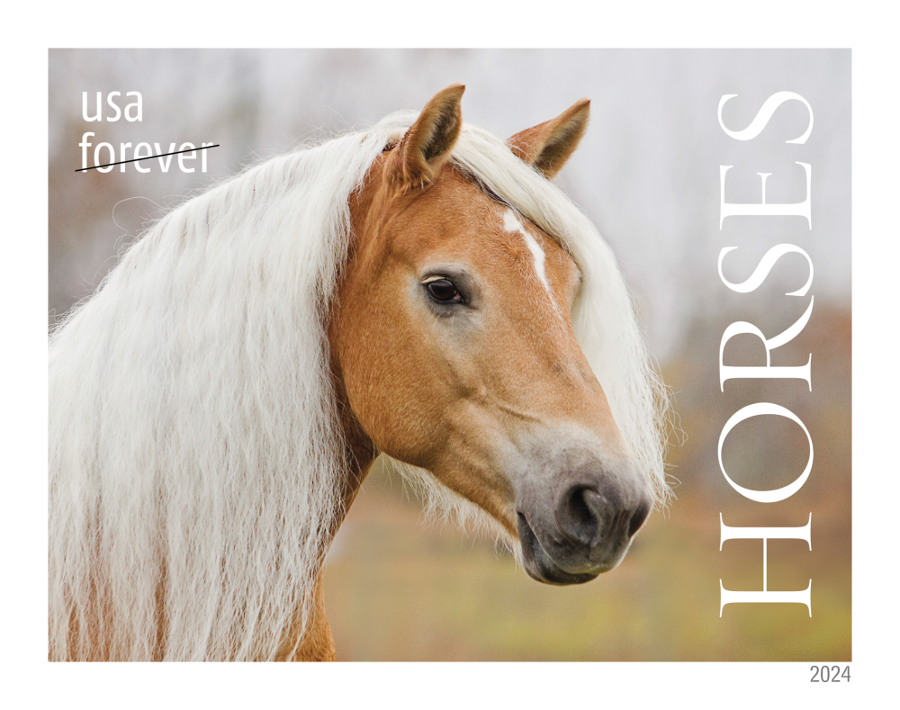 2024 Horses Stamps