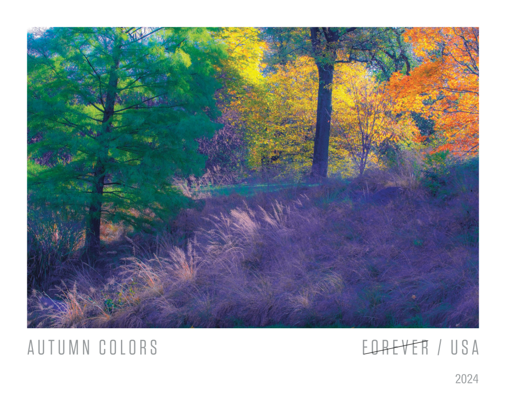 2024 Autumn Colors Stamps