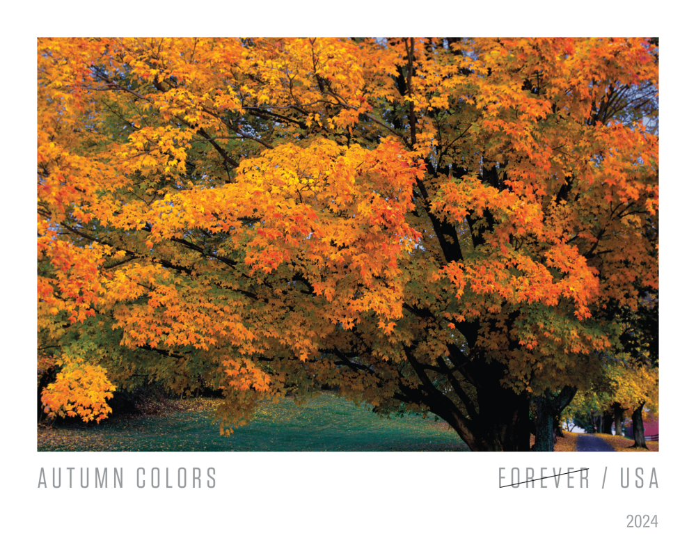 2024 Autumn Colors Stamps