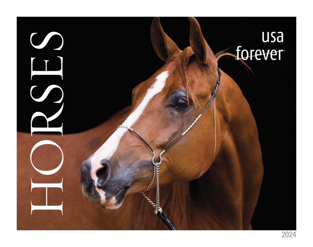 2024 Horses Stamps