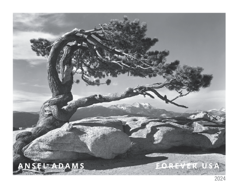 2024 Ansel Adams Stamps