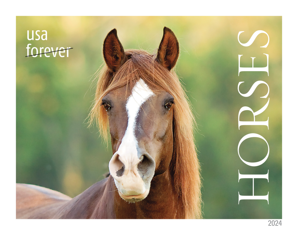 2024 Horses Stamps