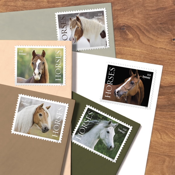 2024 Horses Stamps