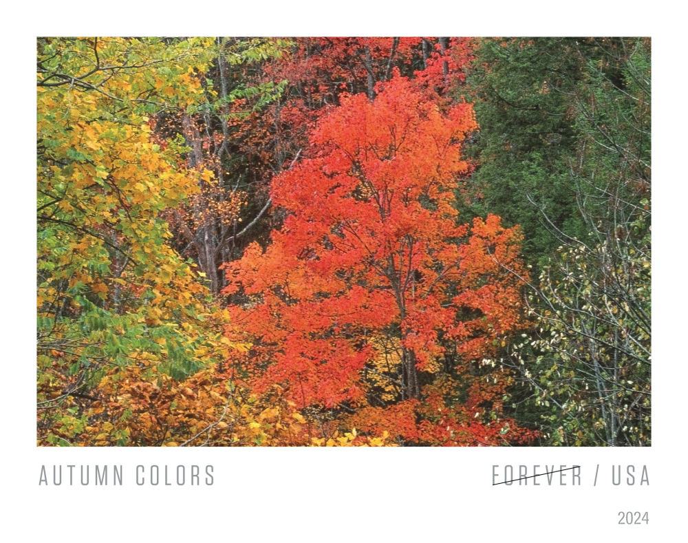 2024 Autumn Colors Stamps
