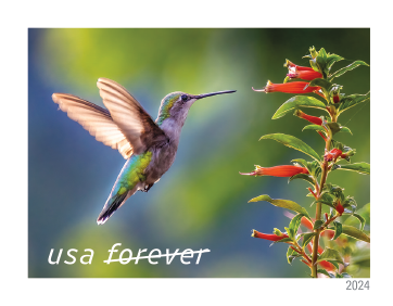 2024 Garden Delights Stamps