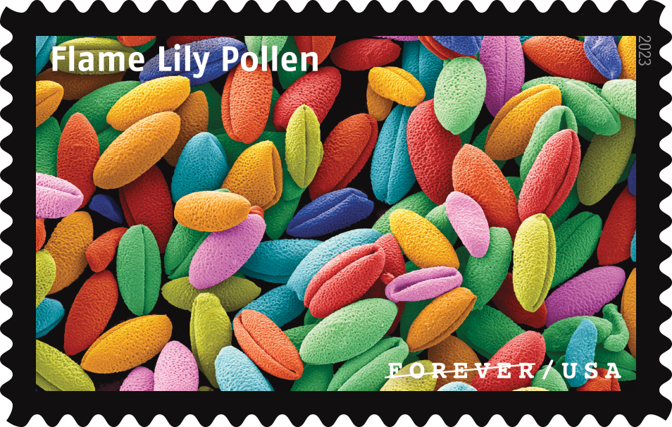 2023 Life Magnified Stamps