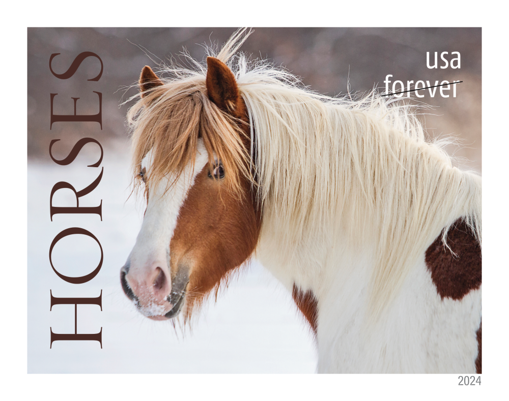 2024 Horses Stamps