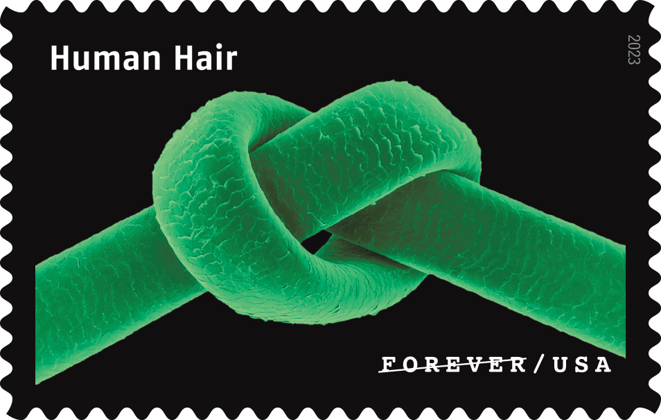 2023 Life Magnified Stamps