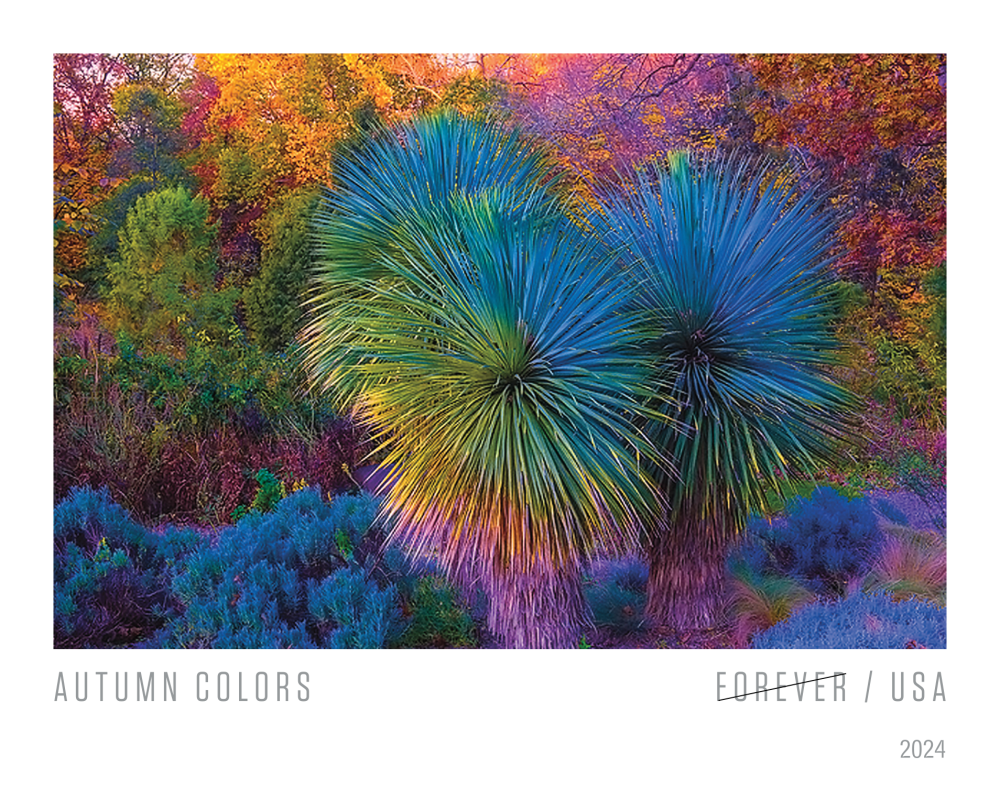 2024 Autumn Colors Stamps
