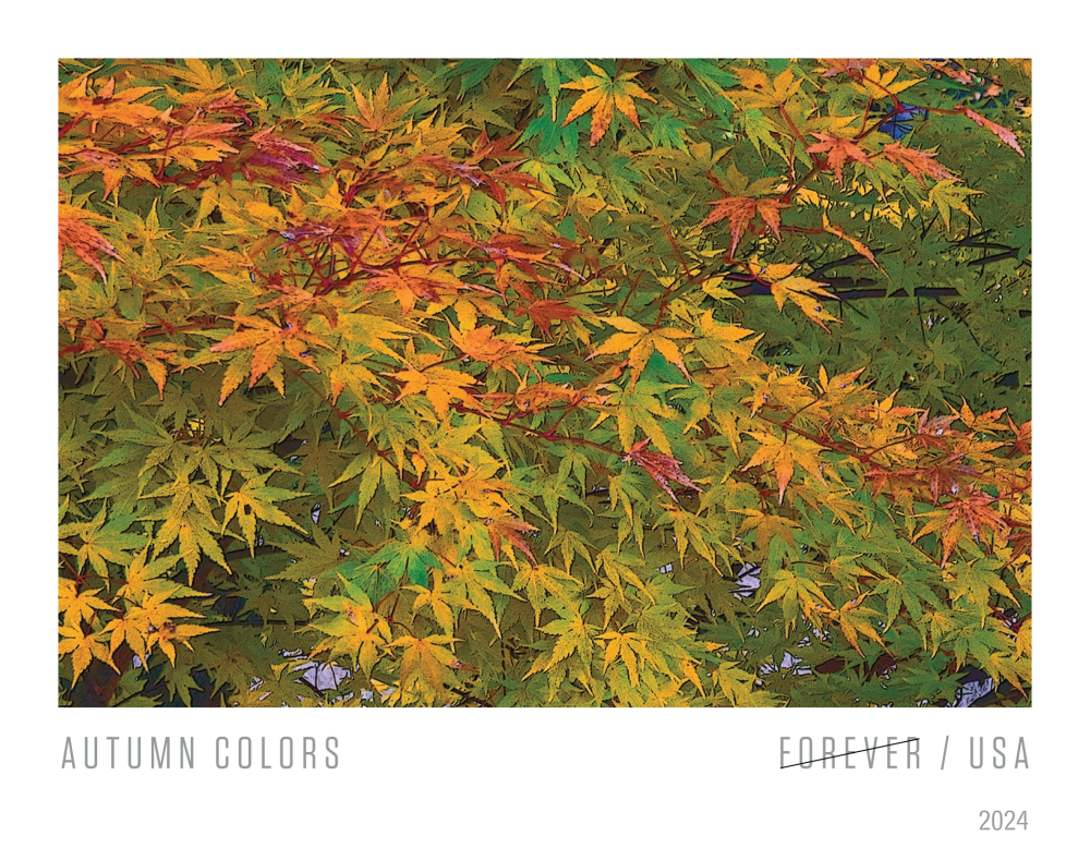 2024 Autumn Colors Stamps