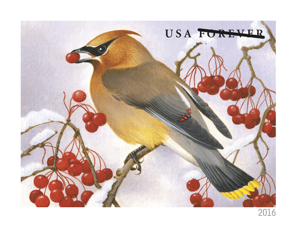 2016 Forever Stamps Songbirds In Snow