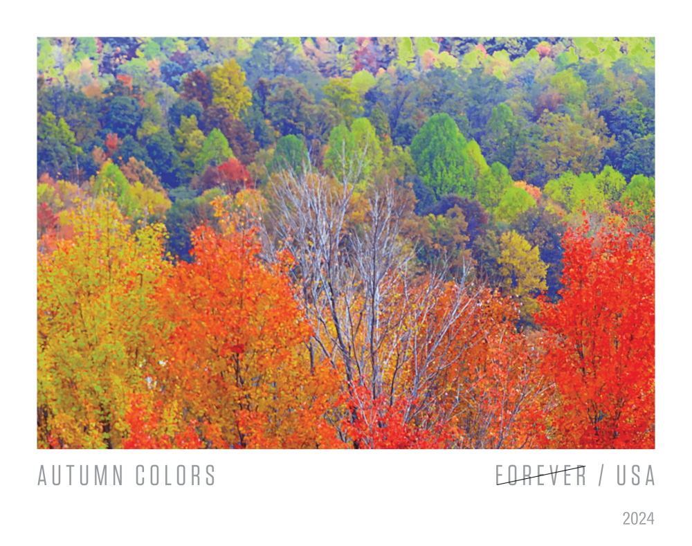 2024 Autumn Colors Stamps