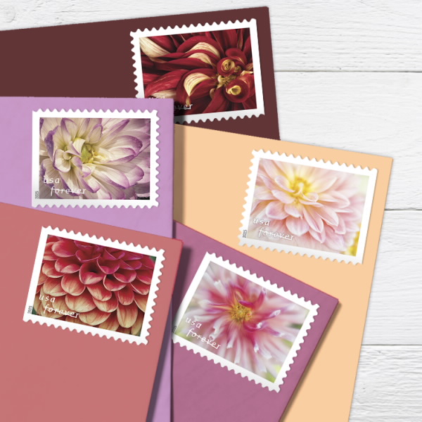 2025 Forever Stamps Dahlias Stamps 500 pcs