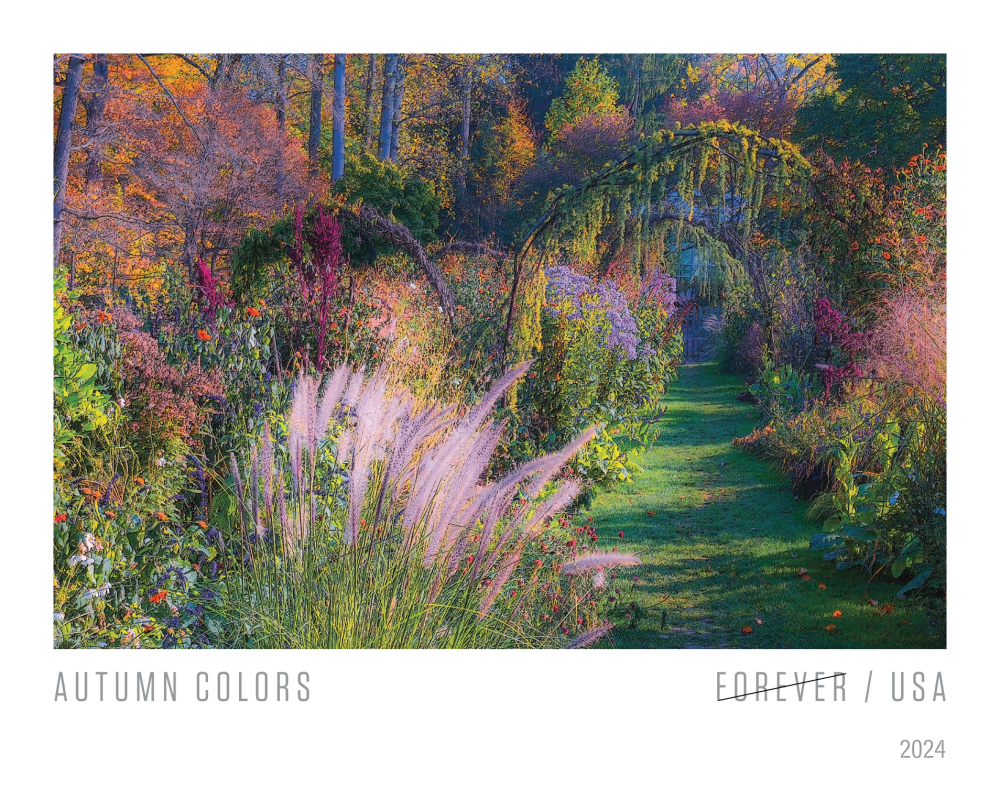 2024 Autumn Colors Stamps