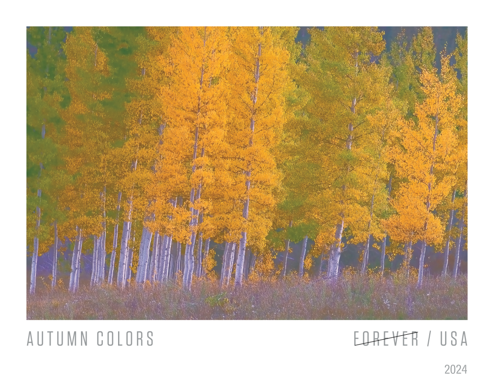 2024 Autumn Colors Stamps