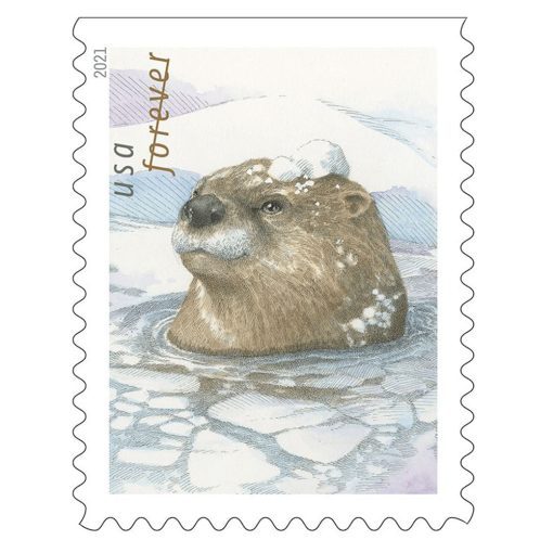2021 Otter in the Snow Forever®Stamp