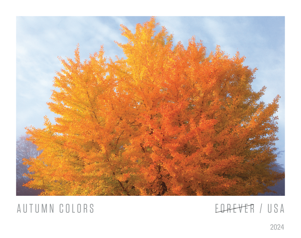 2024 Autumn Colors Stamps