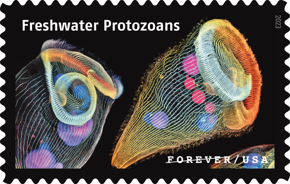 2023 Life Magnified Stamps
