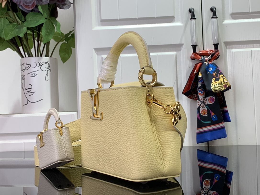 LV CAPUCINES mini M48865