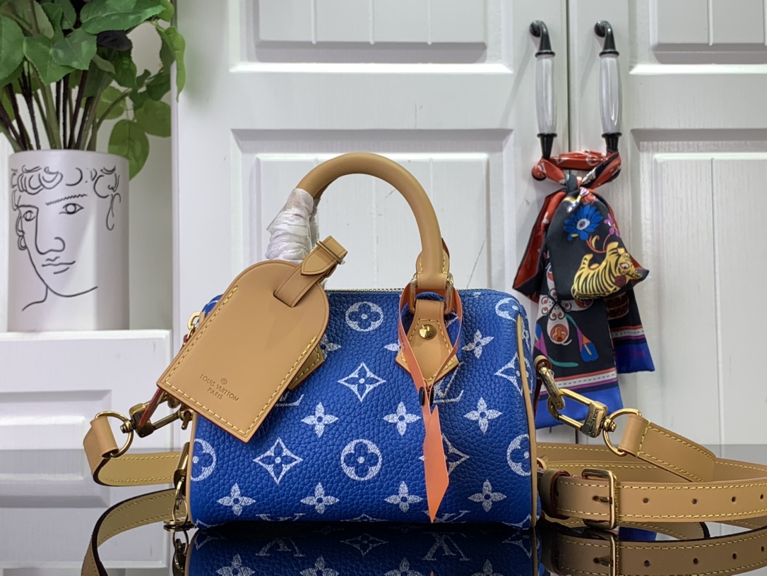 LV M24419