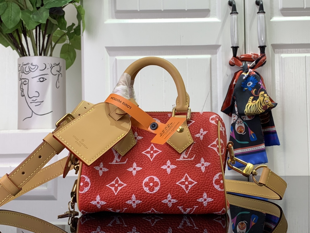 LV M24419