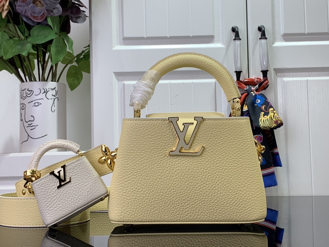 LV CAPUCINES mini M48865