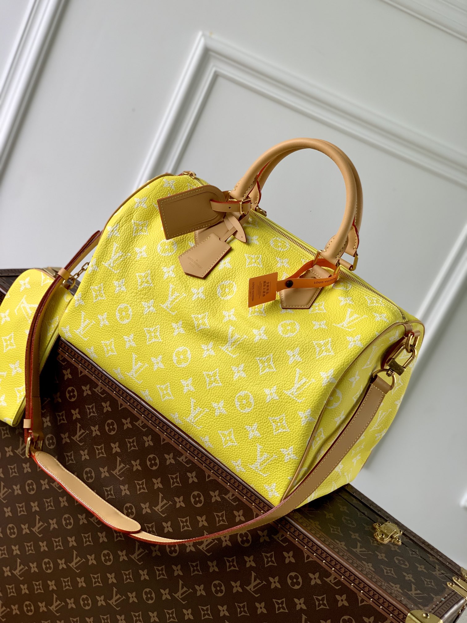 LV M24419