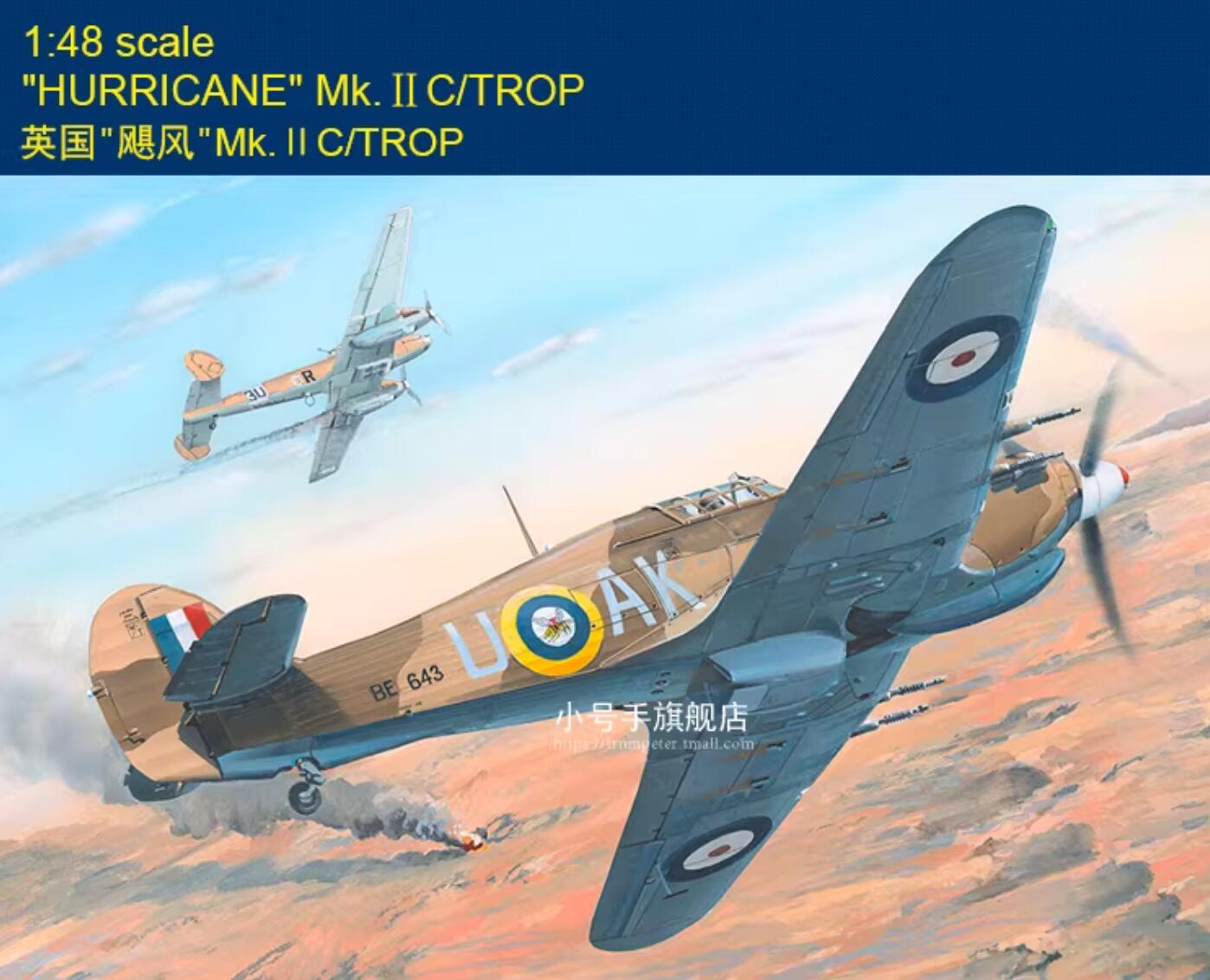 Hobbyboss 81779 1:48 Hurricane Mk.IIC/TROP Plastic Model