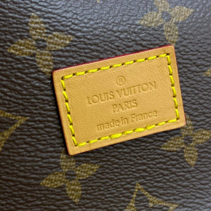 Replica Louis Vuitton Monogram Canvas Saumur Mm M42256