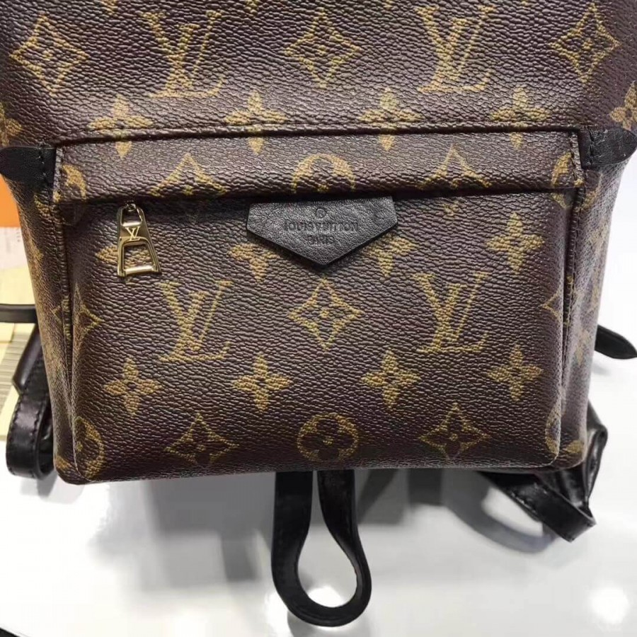 Replica Louis Vuitton Monogram Canvas Palm Springs Backpack Pm M41560