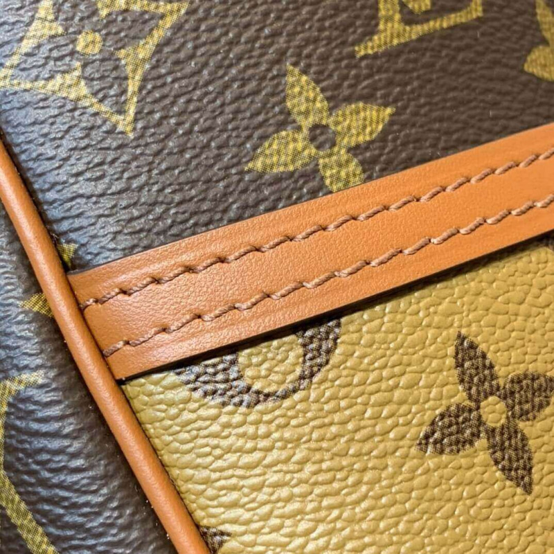 Replica Louis Vuitton Hobo Dauphine Pm M45194